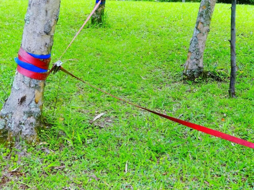 Bruk trebeskyttelse på ømfintlige trær når du monterer en slackline
