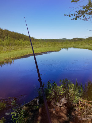 Teleskopstang når langt ut