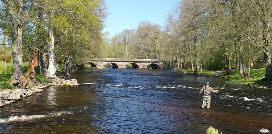 Fisker i vadestøvler i strømmende vann