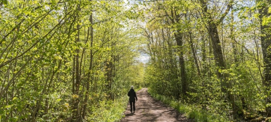 Klær for varutendørsaktivitet